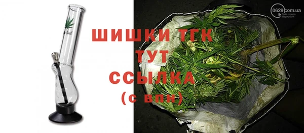 дмт Дмитровск