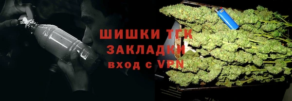 бошки Дмитриев