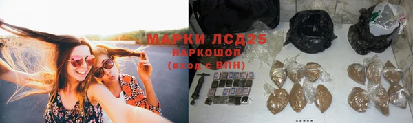 бошки Дмитриев