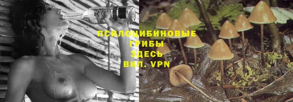 бошки Дмитриев