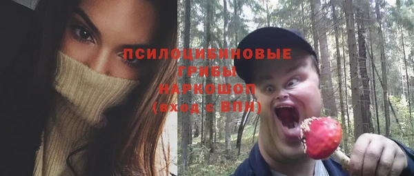 бошки Дмитриев