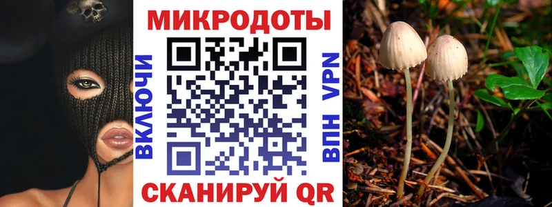 Галлюциногенные грибы MAGIC MUSHROOMS  Купить где  Борисоглебск 